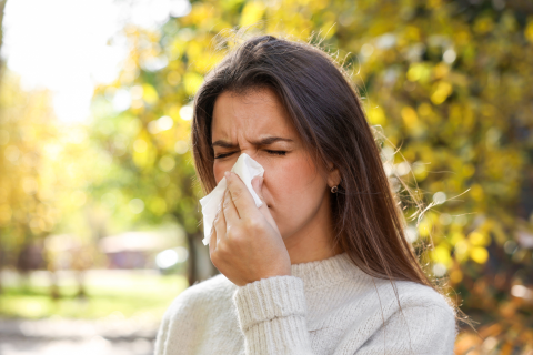 Flu